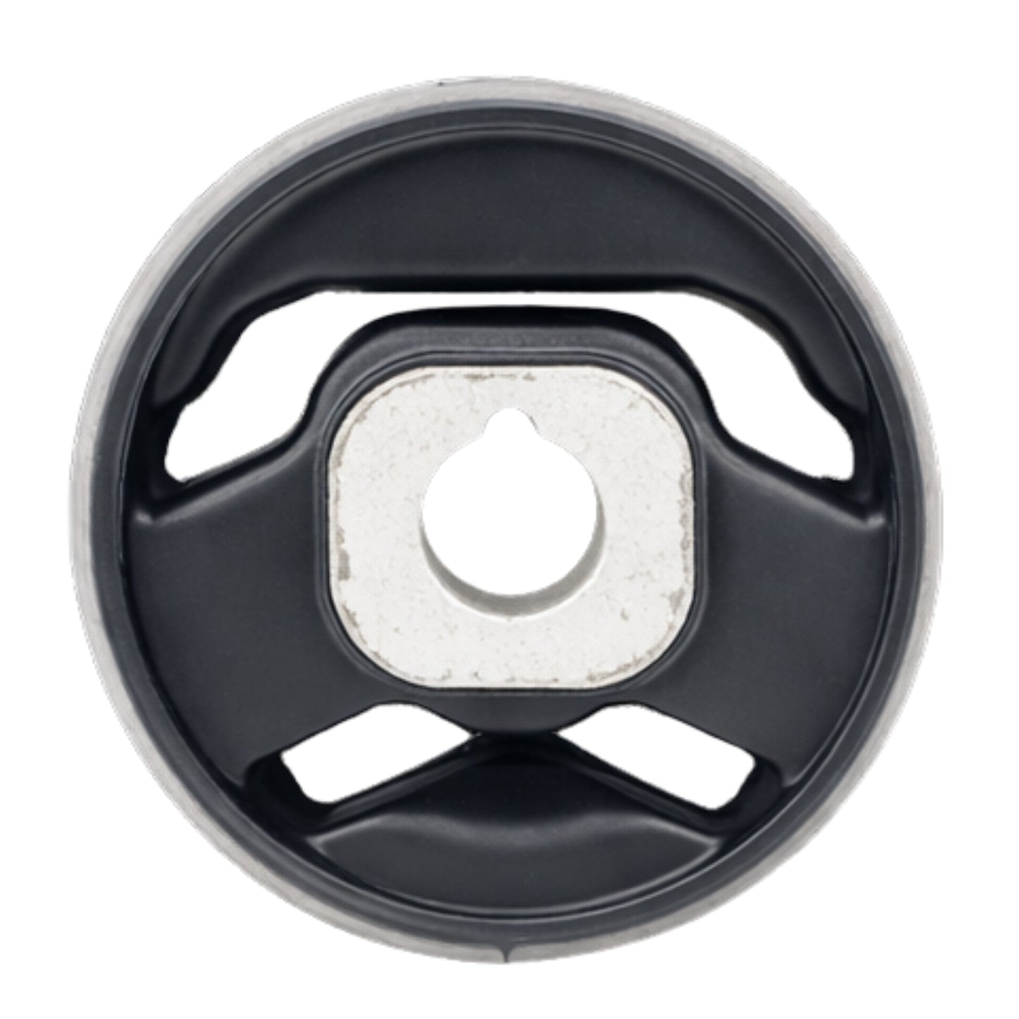Diff side mount bush for Ford Falcon & Territory